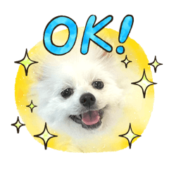 nanami_20250818225054