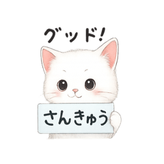 mizuki_20250819104001