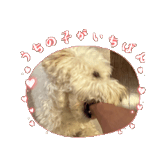 LIFE with MARU5