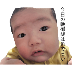 m_20250819012237