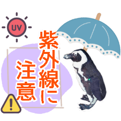 アニマルたちの真夏のスタンプ♪