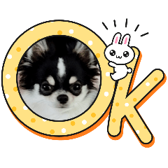 mochi_20250819074836