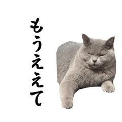 Sally_20250819081406