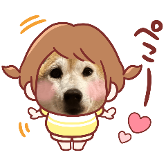 Chikuwa_20250817144331