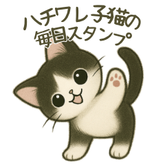 ハチワレ子猫の毎日スタンプ