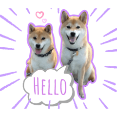 omochi_20250817032840