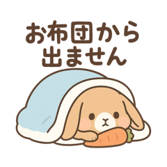 ロップイヤーのふわふわライフ