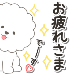 やさしいビションフリーゼ『仕事＆連絡』