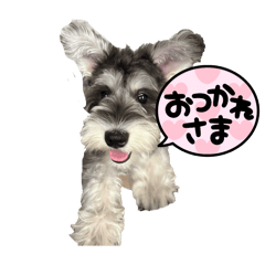 EMI_20250819201012