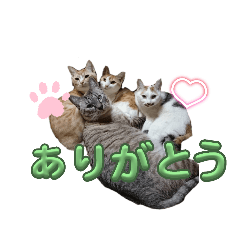 mikan_20250819201724