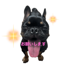 KASUMI_20250819131045