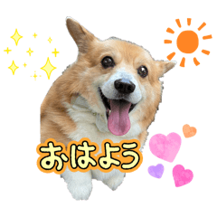 HAPPY_20250819132040