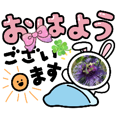 akiko_20250819155952