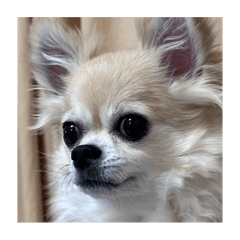 mitsuki_20250819160408