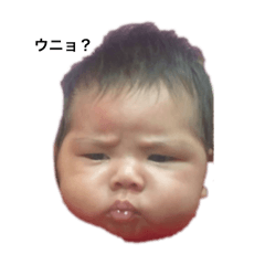 kaina_20250819161054