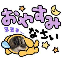 Nagisa_20250819113033