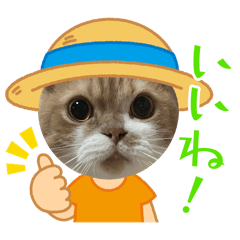 Nagisa_20250819112845