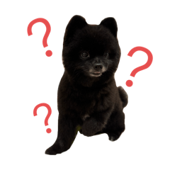 島拎讚讚本丸日常