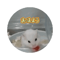 anan_20250819213838