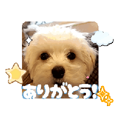 hana_20250820100650
