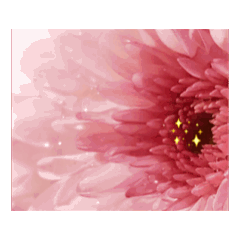 Hikaru_20250820093344