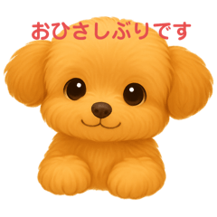 panda_20250819144156