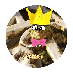 sugar_20250819143322