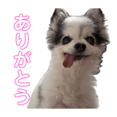 Kaori_20250819212048