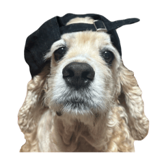 Monaka_20250819174319