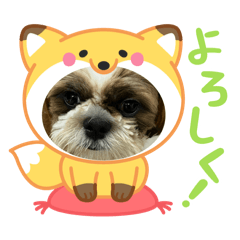yumi_20250819213417