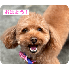 kurumi_20250819213003