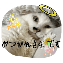 chika_20250819183428