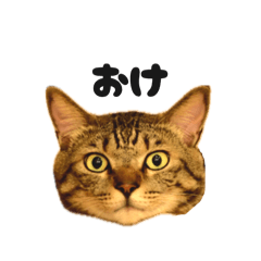 monaka_20250819184913