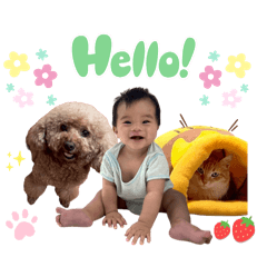 Evee_20250817104852