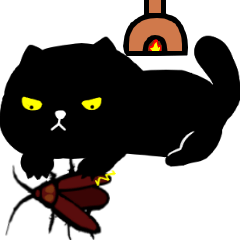 Little black cat 1