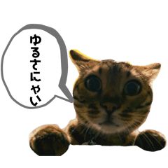 juntaro_20250819202758