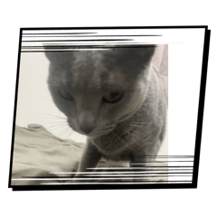 ロア モア リアの日常1