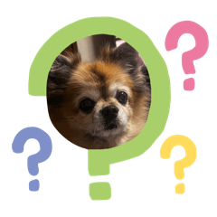 yuchi_20250819202015