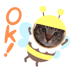 eriko_20250819182348