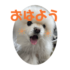 CHIHIRO_20250819181058