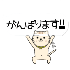 nekonofukidashi nekoshiri-zu