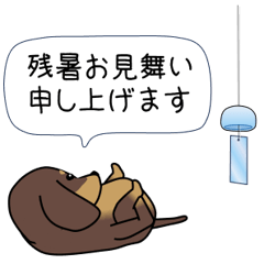新・激しく尻尾をふるダックス【基本篇】