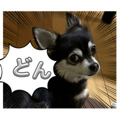 Sakura_20250820074139