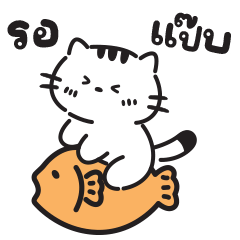 เหมียว “โตโต้”- คำใช้ได้ทุกวัน