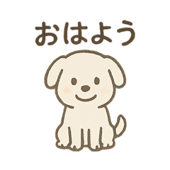 PEQQ_20250819195751