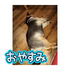 mahiro_20250820031946