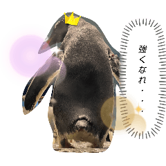 m_20250819230457