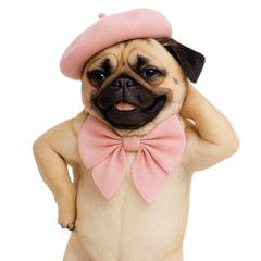 喜歡粉紅色的哈巴狗 (NT)