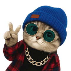 酷帥的黑幫貓 (NT)