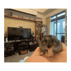 屎鼠獸-嚕